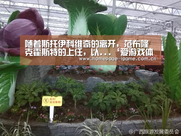 爱游戏体育App下载