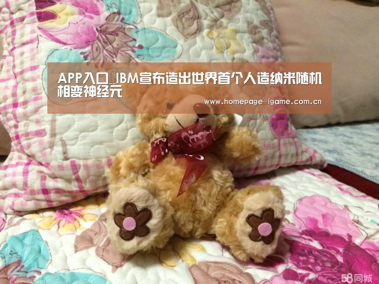APP入口