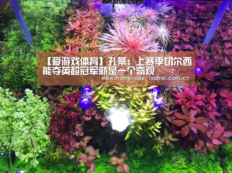 爱游戏官方