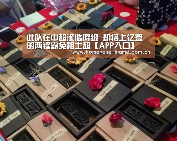 此队在中超濒临降级 却将上亿签的两锋霸免租土超【APP入口】(图1) 爱游戏体育