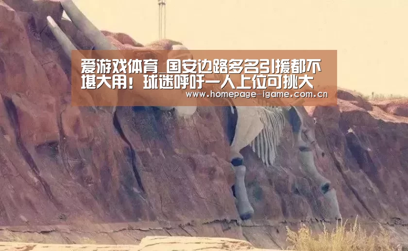爱游戏体育_国安边路多名引援都不堪大用!球迷呼吁一人上位可挑大梁(图1) APP入口