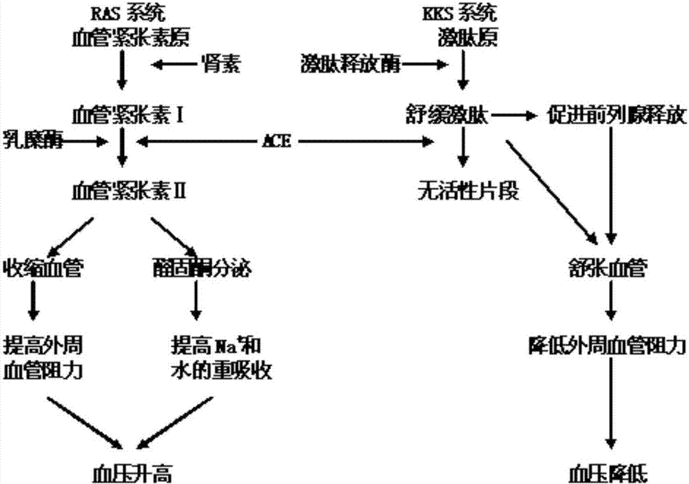 爱游戏官方