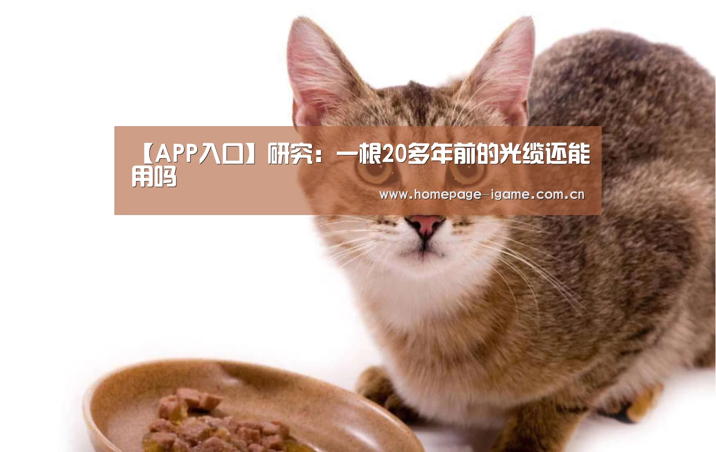 【APP入口】研究:一根20多年前的光缆还能用吗(图3) 爱游戏体育